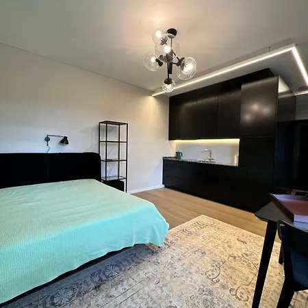 Oasis Stylish & Fully Equipped Apartment Vilnius